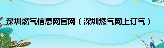 深圳燃气信息网官网(深圳燃气网上订气)