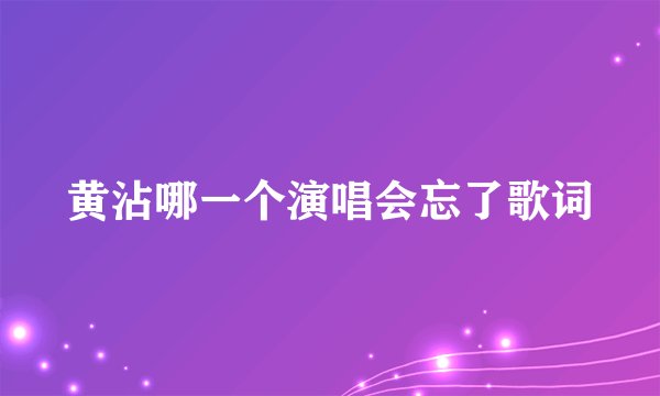 黄沾哪一个演唱会忘了歌词
