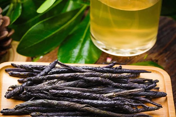 苦丁茶的功效与作用及禁忌