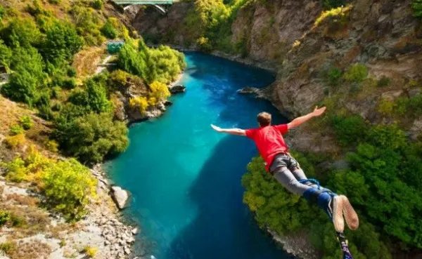 蹦极鳄鱼咬掉头真的吗