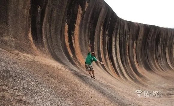 哈雷郑义是谁？