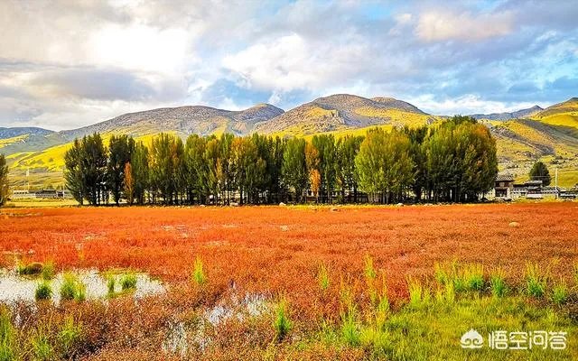 去稻城亚丁旅游一趟大概要花多少钱？怎么样？