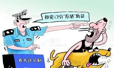 济南养犬积分制是怎么回事?