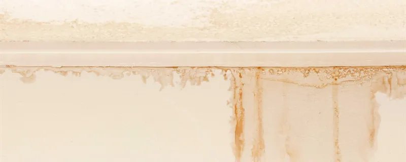 内墙墙壁渗水怎么解决 内墙墙壁渗水的解决方法