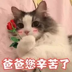 父亲节快乐表情包大全 父亲节表情包图片2022