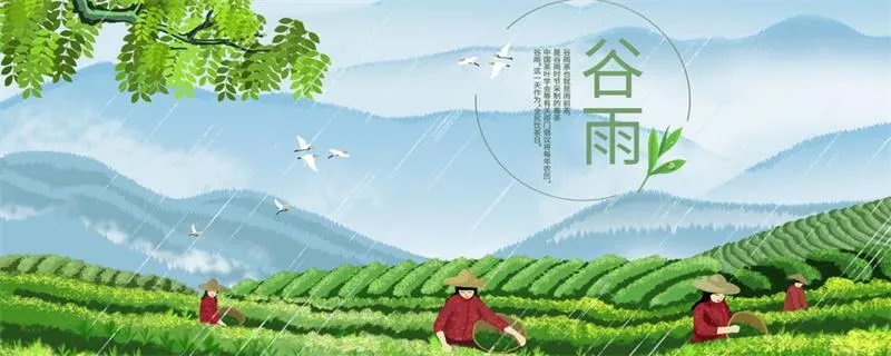谷雨是什么意思  谷雨是什么