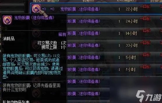 地下城与勇士拍卖行最强宠物是什么   地下城与勇士