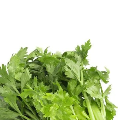 月经过多吃什么中药