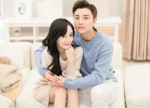 贾乃亮和李小璐为什么离婚了？