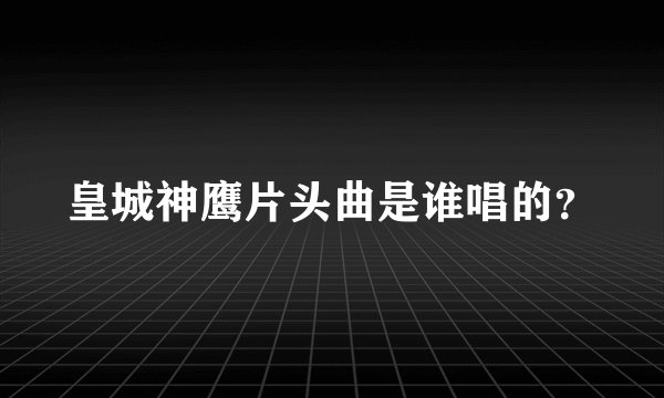 皇城神鹰片头曲是谁唱的？
