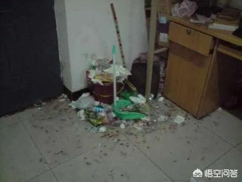 有些女生宿舍能有多脏？