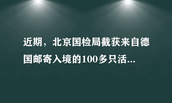 近期，北京国检局截获来自德国邮寄入境的100多只活蟑螂和501只活蜘蛛，避免了它们入境形成生物入侵等危害。蟑螂和蜘蛛在生物分类中最小的共同分类单位是（   ）A.界B.门C.纲D.目