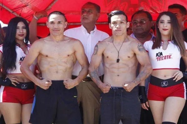 世界十大拳王实力排行榜 目前世界拳王排名第一是谁