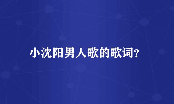 小沈阳男人歌的歌词？