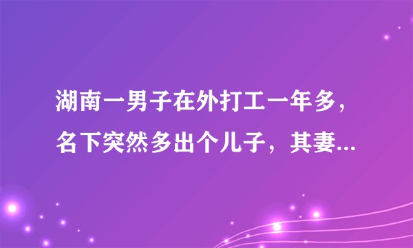 湖南一男子在外打工一年多，名下突然多出个儿子，其妻子对此有何回应？