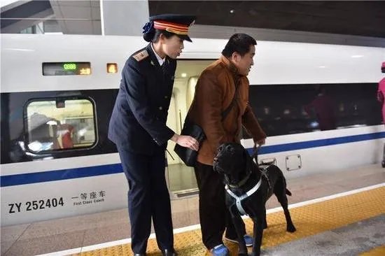 建议全国的公交车普及导盲犬可以坐公交车的知识可以吗?