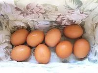 西式早餐的做法