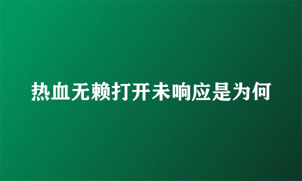 热血无赖打开未响应是为何