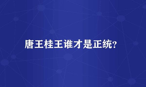 唐王桂王谁才是正统？