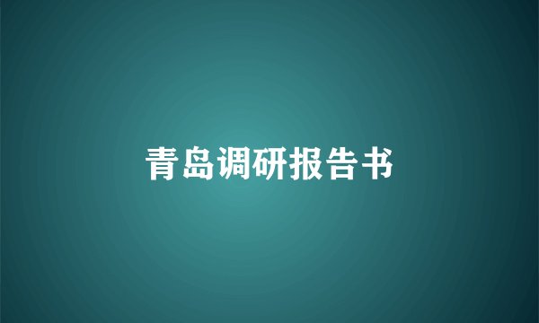 青岛调研报告书