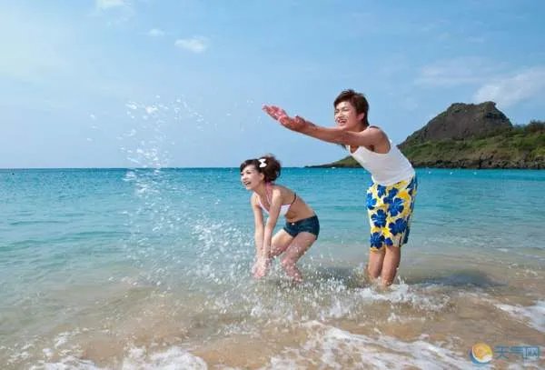 海南旅游人才网的基本信息