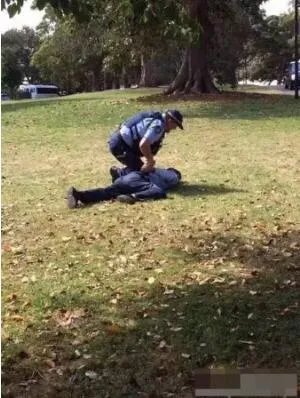 中国游客在澳随地便溺 装病拘捕传闻是否属实