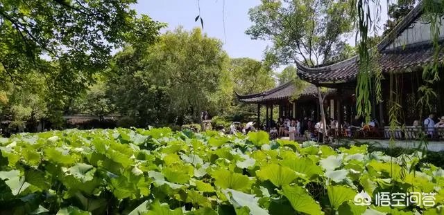 去苏州旅游需要多少钱?