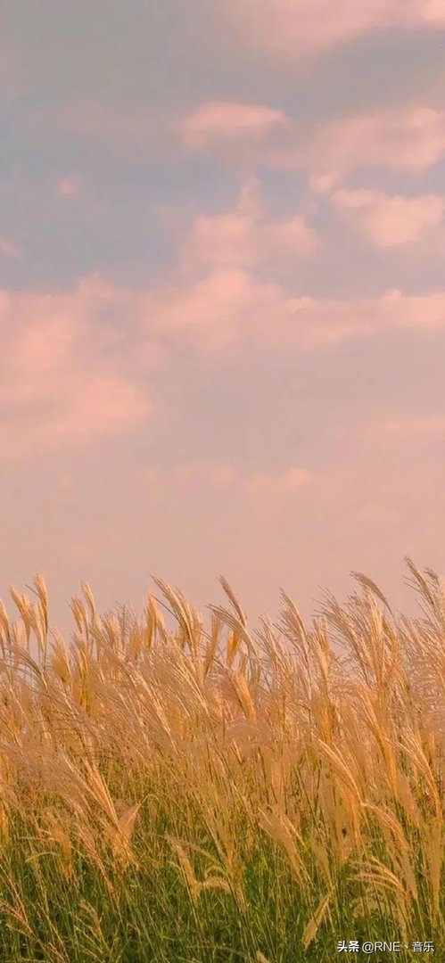 姜玉阳好听的歌那么多,为什么却不火?