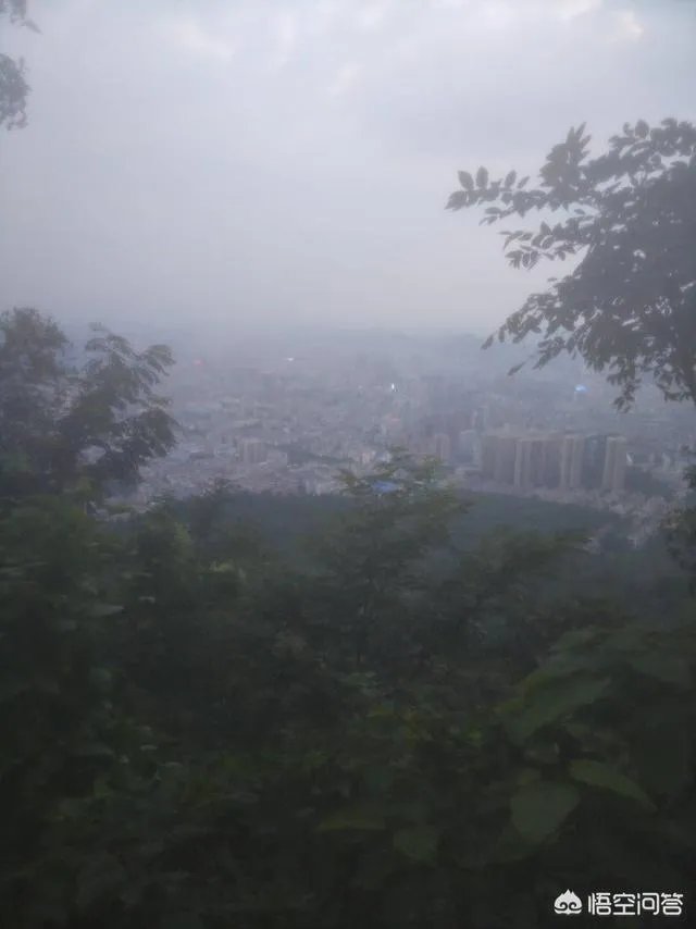 大学生骑车撞上违停法拉利，初步估计要赔20万，对此你怎么看？