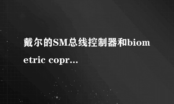戴尔的SM总线控制器和biometric coprocessor怎么安装