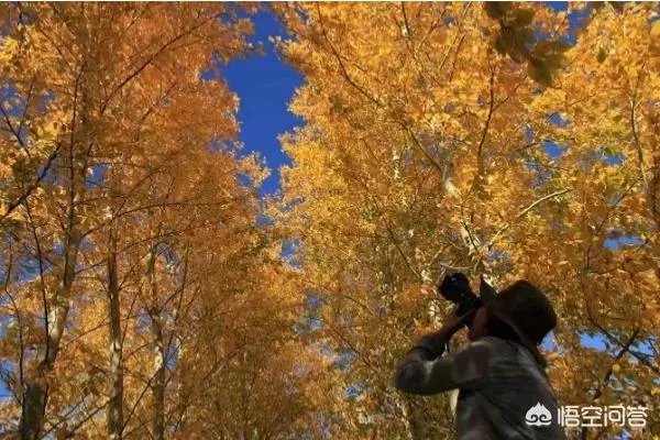 为什么呼伦贝尔只有两个月的旅游旺季,和别的月份有什么区别?