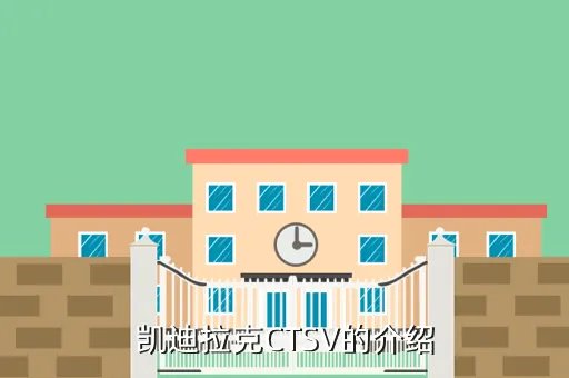 全新凯迪拉克cts,新款凯迪拉克CTS什么颜色最好看啊 报价大概为多少呢