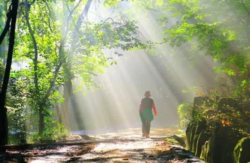 济南出现短暂丁达尔效应,所谓的丁达尔效应究竟是什么?