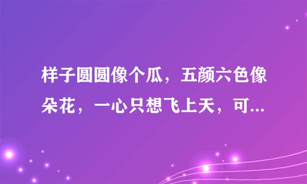 样子圆圆像个瓜，五颜六色像朵花，一心只想飞上天，可惜被人牵住了尾巴。 （打一物）