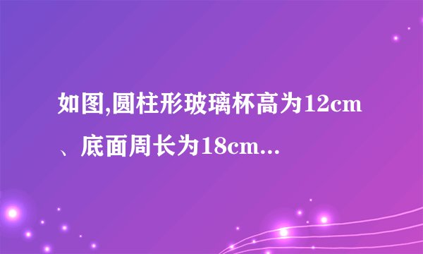 如图,圆柱形玻璃杯高为12cm、底面周长为18cm,在杯内离杯底4cm的点C处有一滴蜂蜜,此时一只蚂蚁正好在杯外壁,离杯上沿4cm与蜂蜜相对的点A处,则蚂蚁到达蜂蜜的最短距离为________cm.