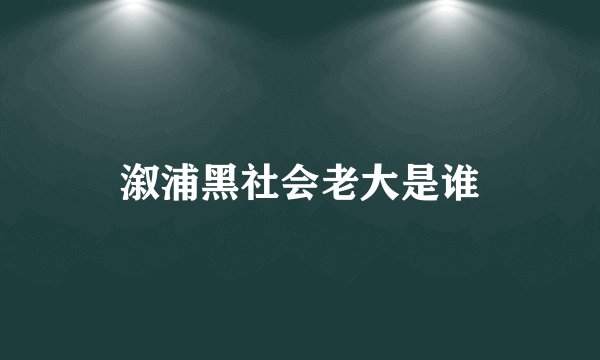 溆浦黑社会老大是谁
