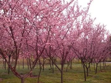 有没有钱和三观不合那个重要