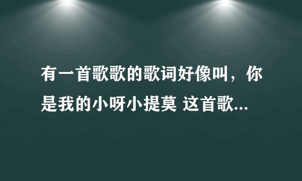 有一首歌歌的歌词好像叫，你是我的小呀小提莫 这首歌叫什么？