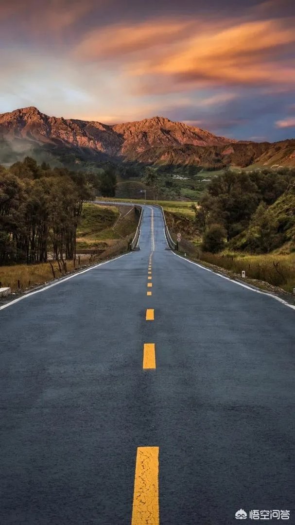 如果家里催得紧，你是否接受出租女友？