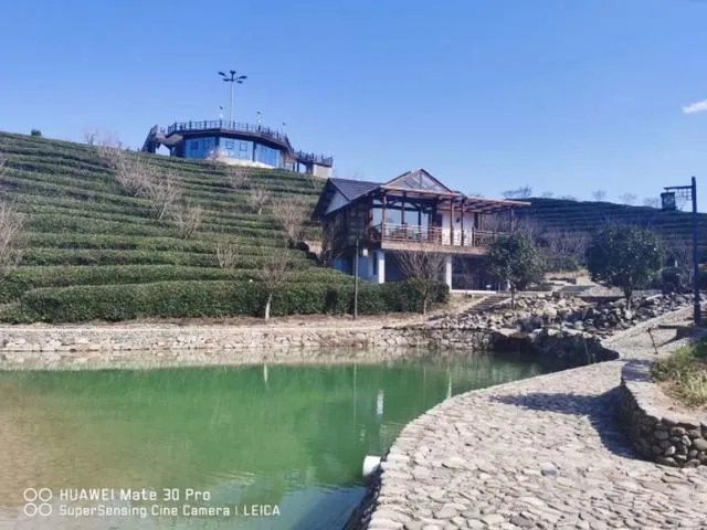 我是干旅游超市的，今年还能继续干么？