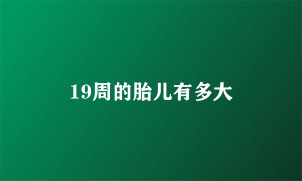 19周的胎儿有多大
