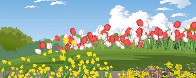 适合春天发的朋友圈 春天发的朋友圈文案