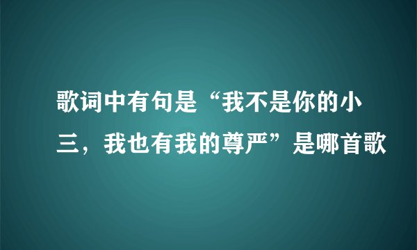 歌词中有句是“我不是你的小三，我也有我的尊严”是哪首歌