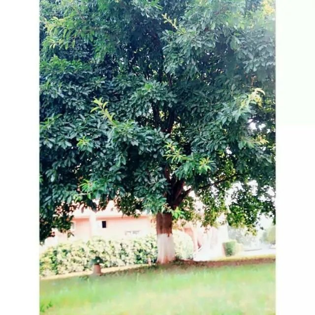 南充高中到底有多好？