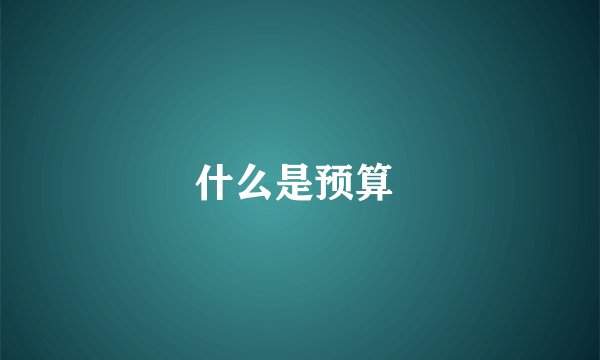 什么是预算 