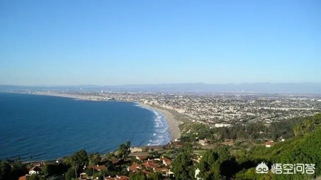 贾跃亭什么时候回国?回来后会受到法律制裁吗?