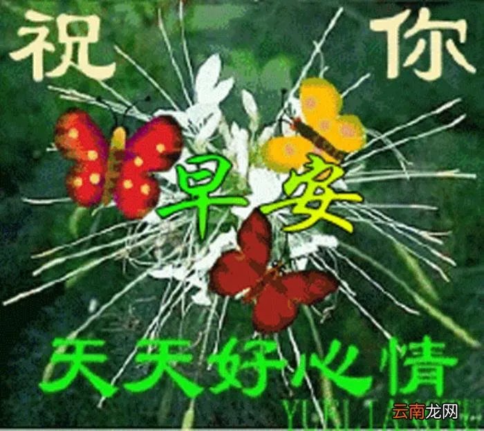 亲爱的最美早晨好动态图片大全 情人早上问候语动态图片