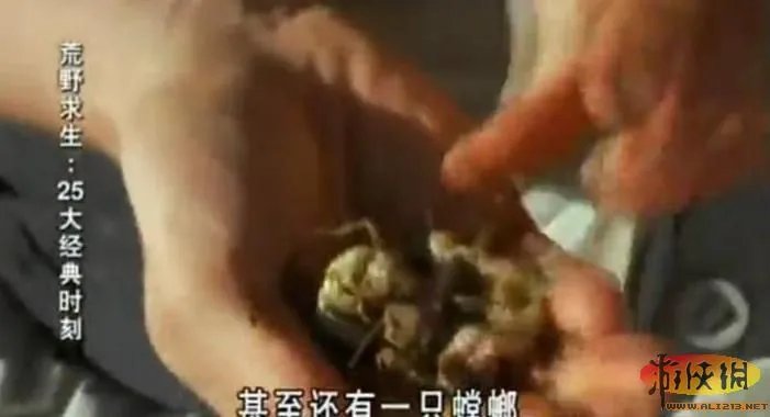 饭前饭后勿入:舌尖上的贝爷你敢吃其中几样?