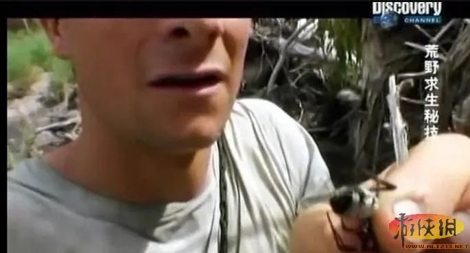 饭前饭后勿入:舌尖上的贝爷你敢吃其中几样?