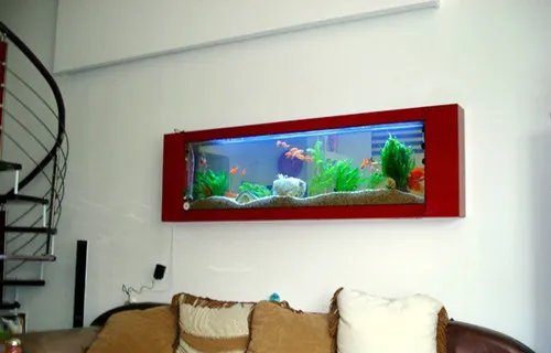 壁挂鱼缸尺寸多大适合   壁挂鱼缸可以养哪些鱼